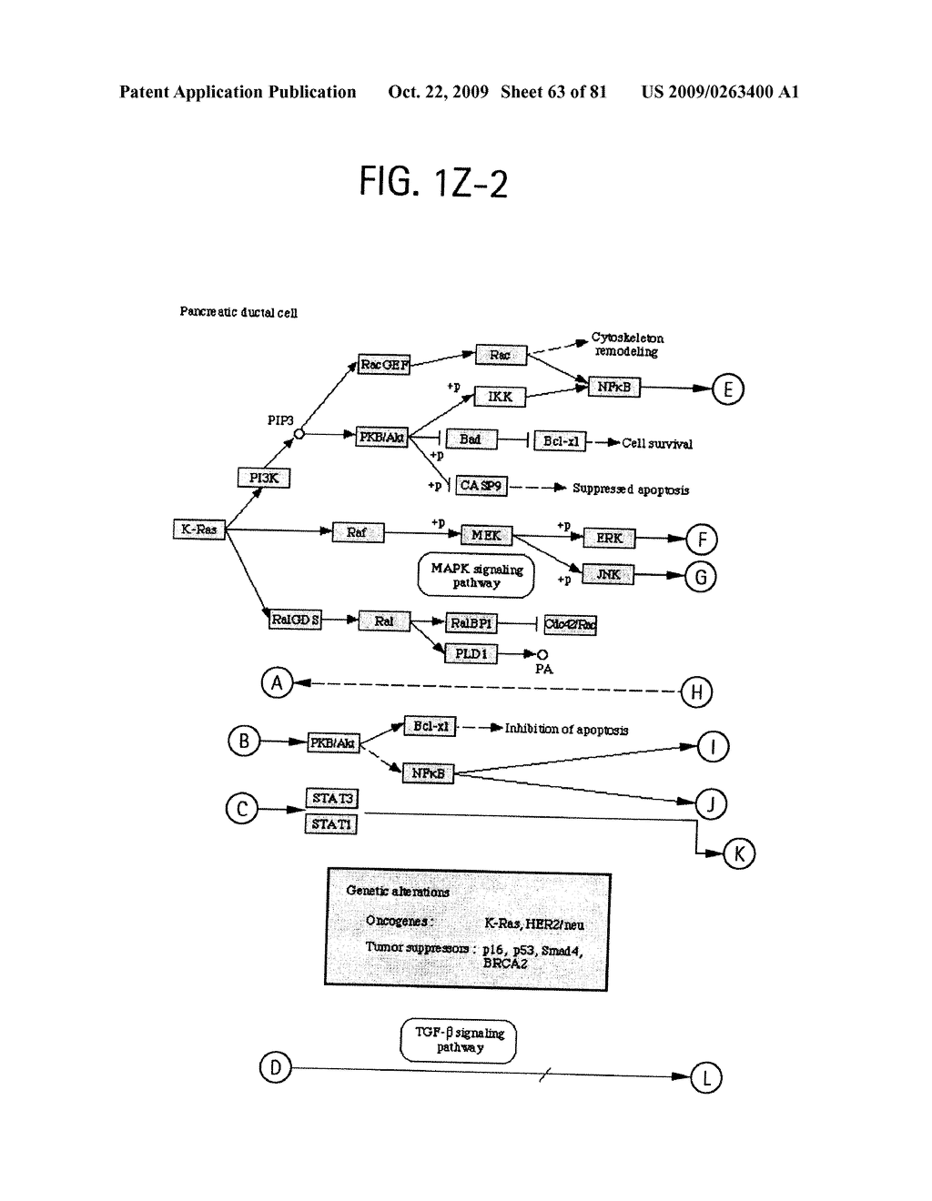 OSTEOPOROSIS ASSOCIATED MARKERS AND METHODS OF USE THEREOF - diagram, schematic, and image 64