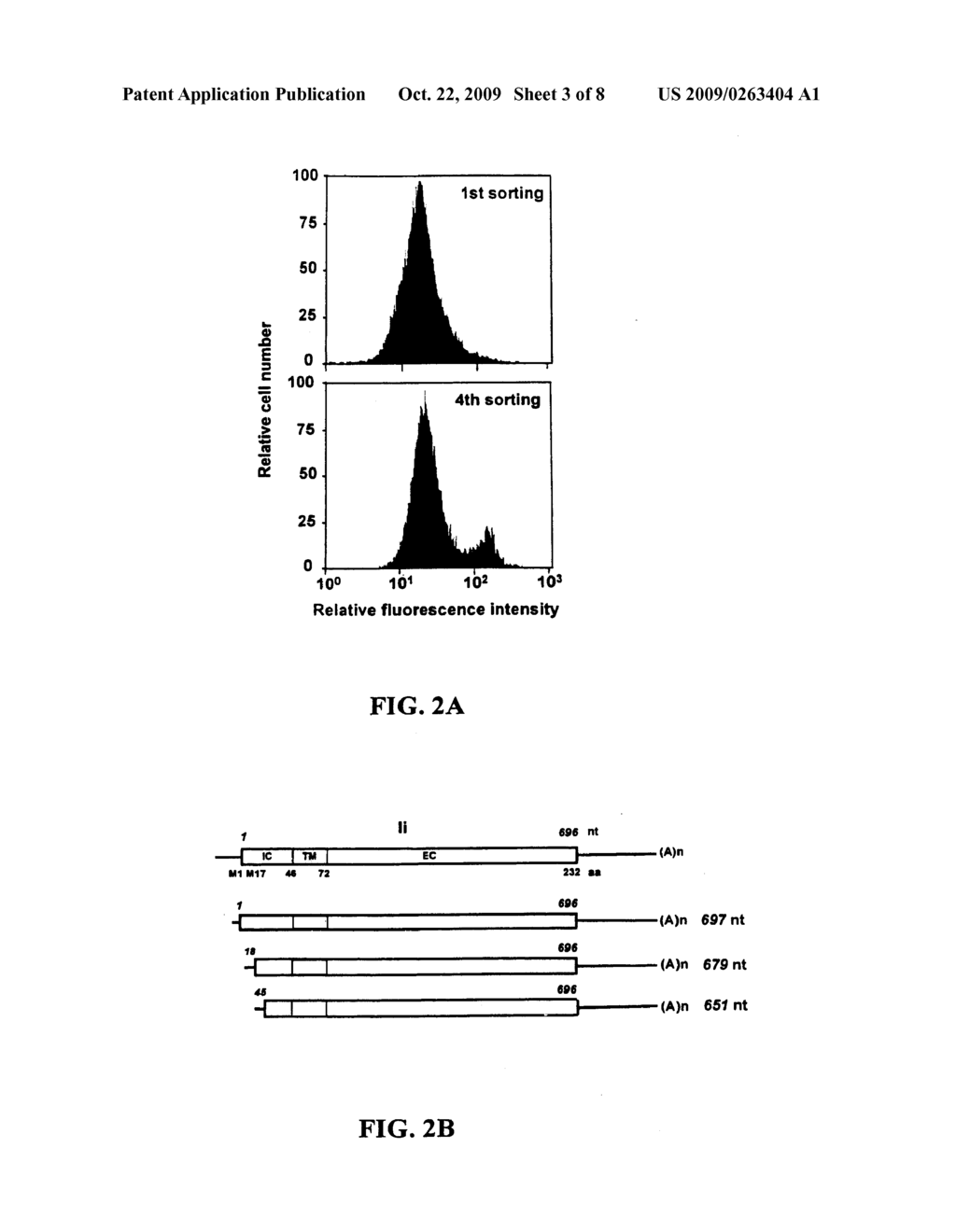 Methods and Compositions for Using MHC Class II Invariant Chain Polypeptide as a Receptor for Macrophage Migration Inhibitory Factor - diagram, schematic, and image 04