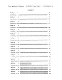 Compositions, splice variants and methods relating to ovarian specific genes and proteins diagram and image