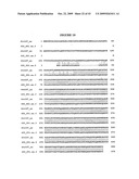 Compositions, splice variants and methods relating to ovarian specific genes and proteins diagram and image