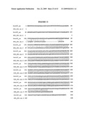 Compositions, splice variants and methods relating to ovarian specific genes and proteins diagram and image