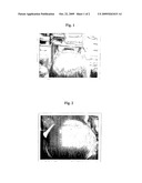 COMPOSITION FOR SCALP AND HAIR OF SCALP diagram and image