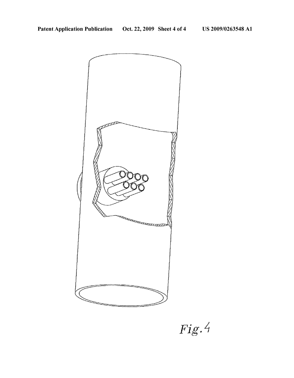 OZONE TREATMENT OF LIQUID FOODSTUFF - diagram, schematic, and image 05