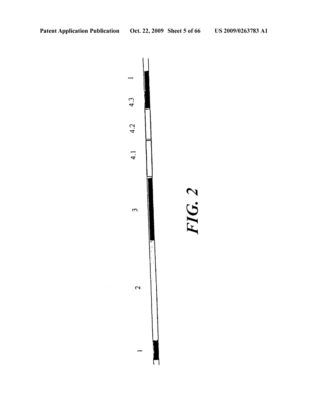 NUCLEIC SEQUENCE AND DEDUCED PROTEIN SEQUENCE FAMILY WITH HUMAN ENDOGENOUS RETROVIRAL MOTIFS, AND THEIR USES - diagram, schematic, and image 06