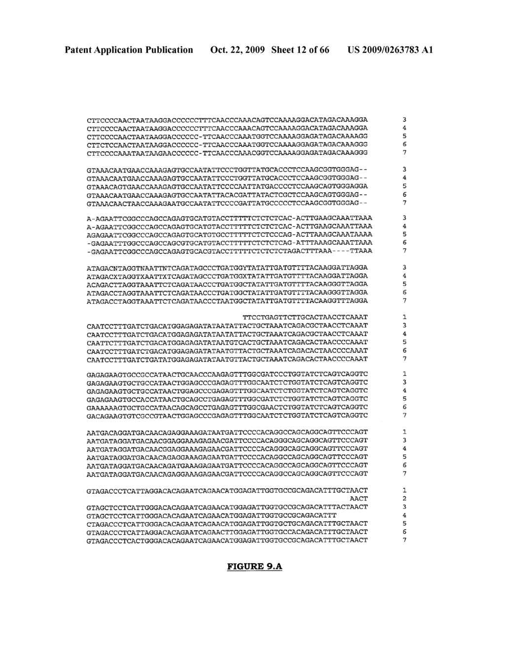 NUCLEIC SEQUENCE AND DEDUCED PROTEIN SEQUENCE FAMILY WITH HUMAN ENDOGENOUS RETROVIRAL MOTIFS, AND THEIR USES - diagram, schematic, and image 13