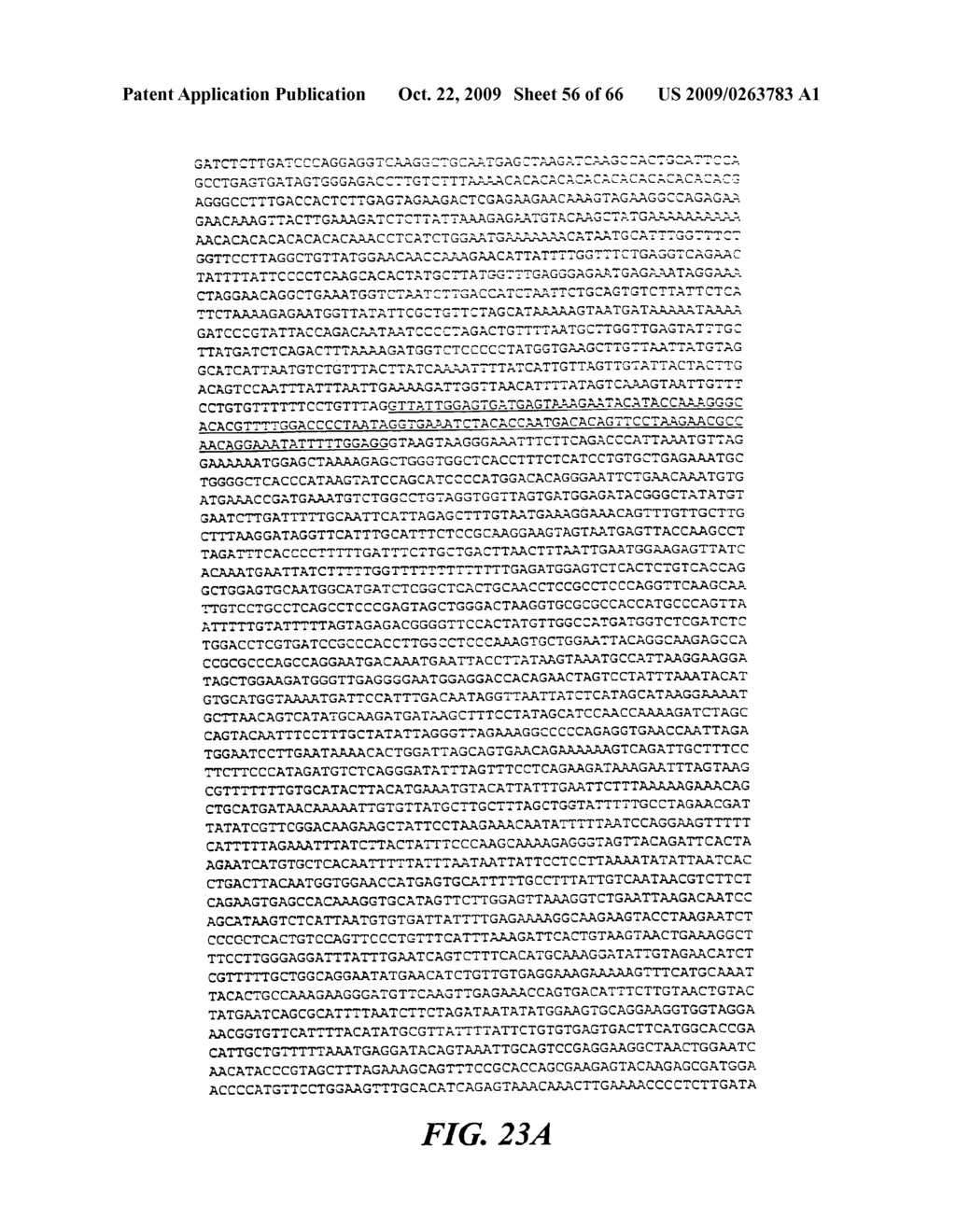 NUCLEIC SEQUENCE AND DEDUCED PROTEIN SEQUENCE FAMILY WITH HUMAN ENDOGENOUS RETROVIRAL MOTIFS, AND THEIR USES - diagram, schematic, and image 57