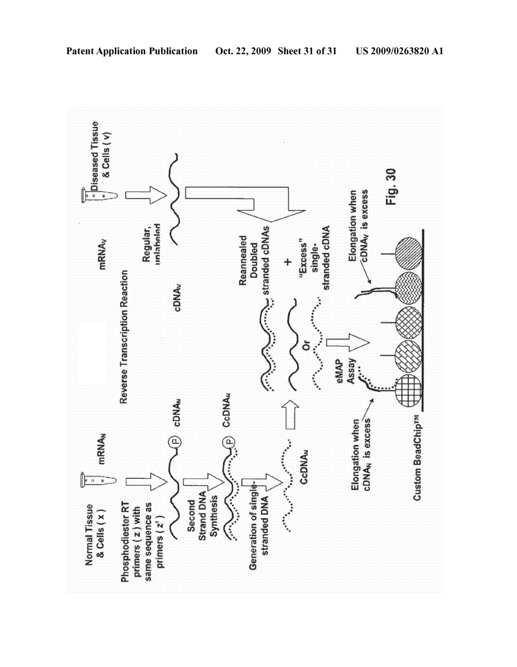 Optimization of Gene Expression Analysis using Immobilized Capture Probes - diagram, schematic, and image 32