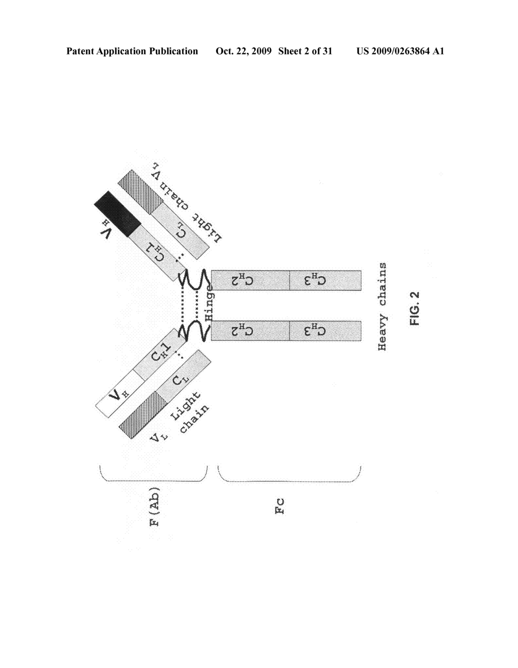 Recombinant production of mixtures of antibodies - diagram, schematic, and image 03