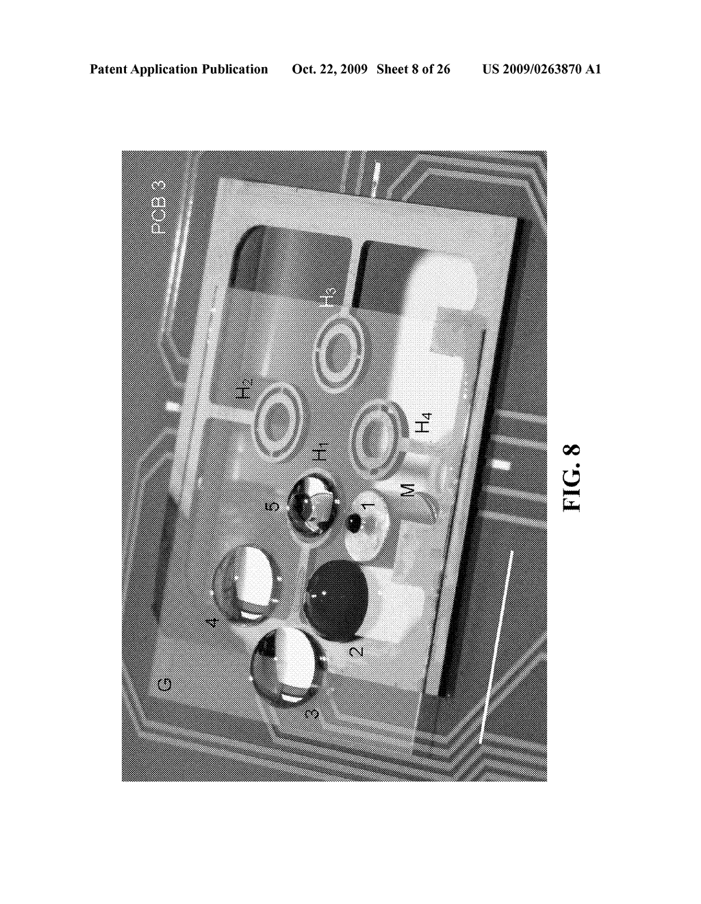 SYSTEM AND METHOD FOR AMPLIFYING A NUCLEIC ACID MOLECULE - diagram, schematic, and image 09