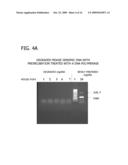 Methods and Compositions for Amplification of DNA diagram and image