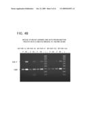 Methods and Compositions for Amplification of DNA diagram and image