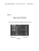 Methods and Compositions for Amplification of DNA diagram and image