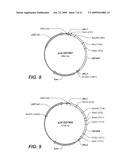 Thermostable Neutral Metalloproteases diagram and image