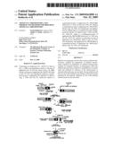 Artificial chromosomes, uses thereof and methods for preparing artificial chromosomes diagram and image