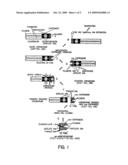 Artificial chromosomes, uses thereof and methods for preparing artificial chromosomes diagram and image