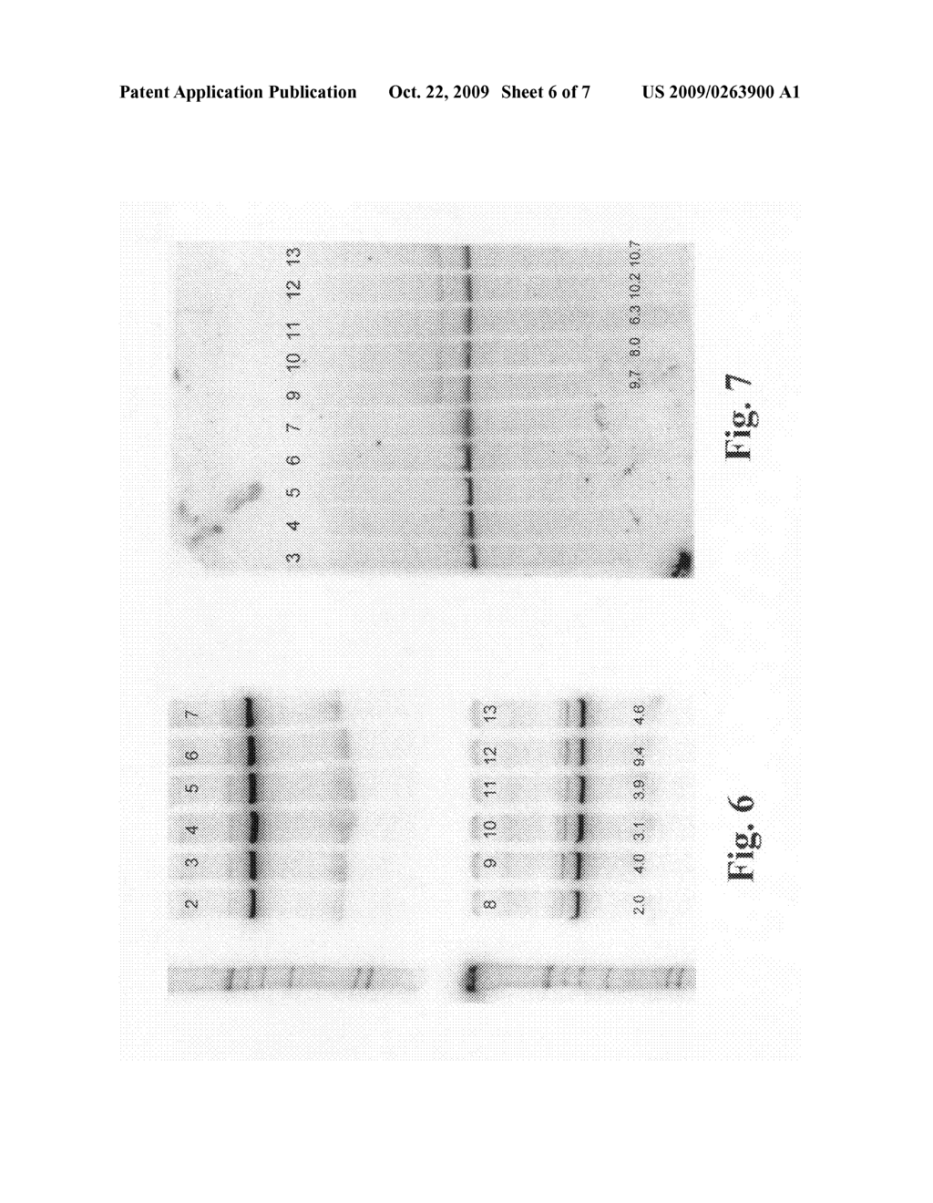 Linear donor constructs for targeted integration - diagram, schematic, and image 07