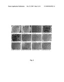 METHOD FOR REGULATING AGROBACTERIUM-MEDIATED TRANSFORMATION diagram and image