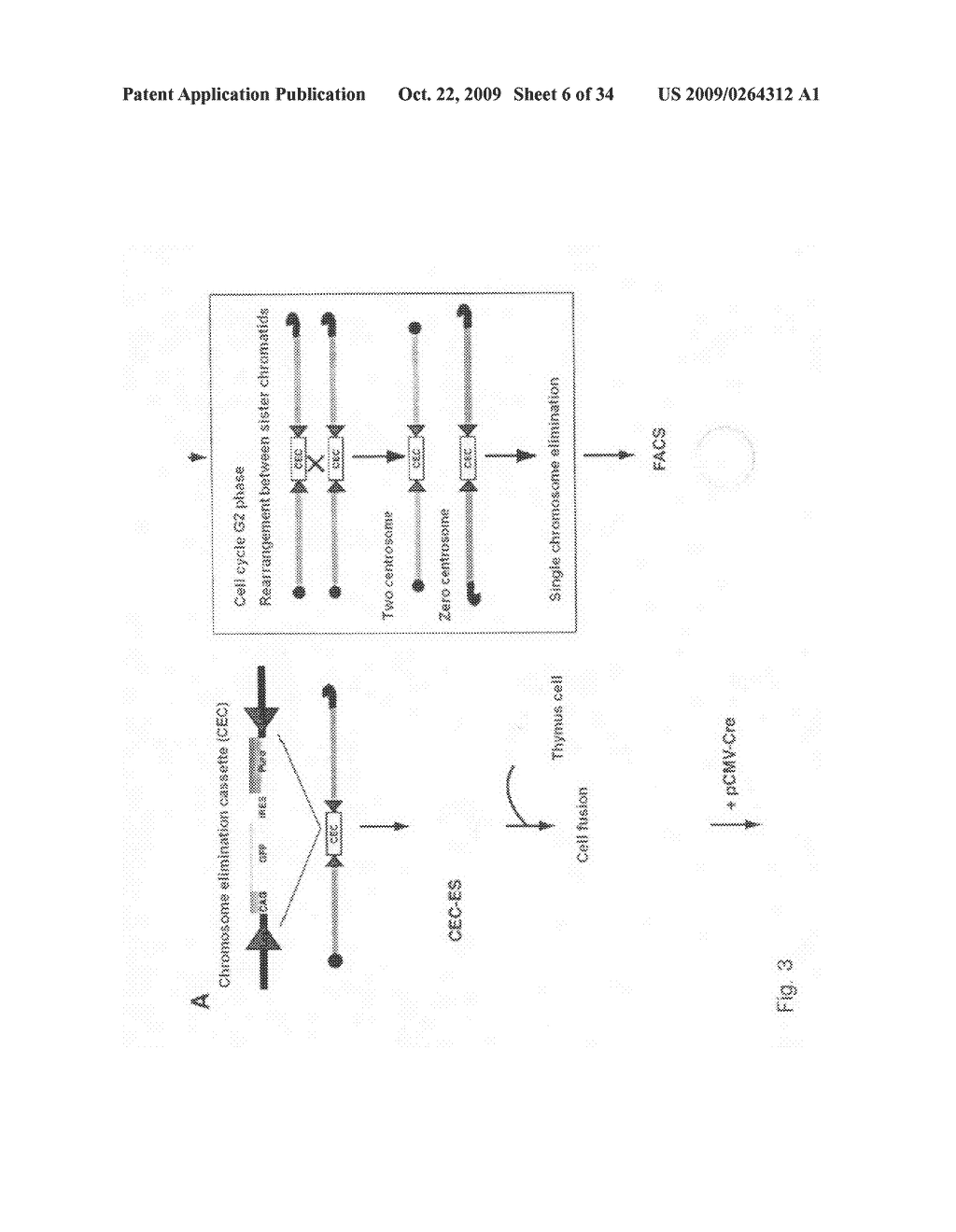 METHOD FOR REMOVING DESIRED CHROMOSOME AND TAILOR-MADE MEDICAL TREATMENT UTILIZING THE SAME - diagram, schematic, and image 07