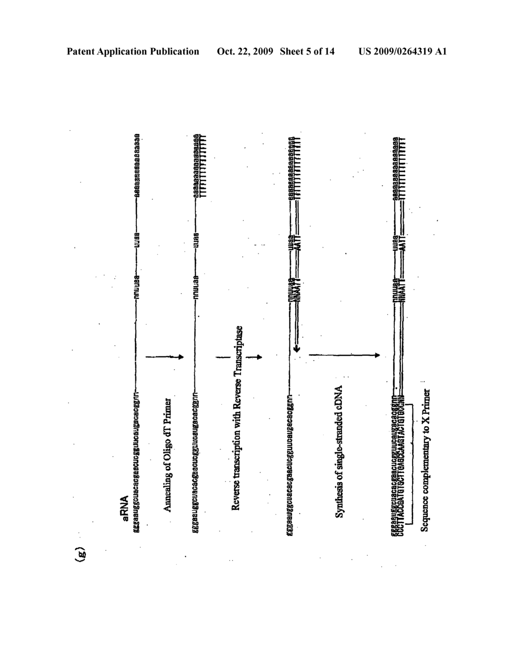 Method for the analysis of exclusive gene expression profile using a trace amount of sample - diagram, schematic, and image 06