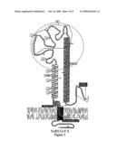 Influenza virus inhibiting peptides diagram and image