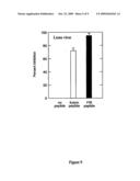 Influenza virus inhibiting peptides diagram and image