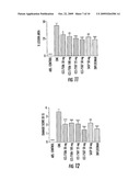 INDOLE, BENZIMIDAZOLE, AND BENZOLACTAM BORONIC ACID COMPOUNDS, ANALOGS THEREOF AND METHODS OF USE THEREOF diagram and image