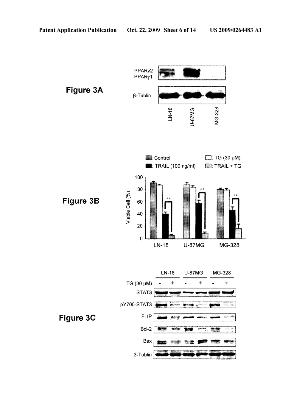 METHODS OF USING PPAR-gamma AGONISTS AND CASPASE-DEPENDENT CHEMOTHERAPEUTIC AGENTS FOR THE TREATMENT OF CANCER - diagram, schematic, and image 07