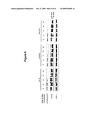 METHODS OF USING PPAR-gamma AGONISTS AND CASPASE-DEPENDENT CHEMOTHERAPEUTIC AGENTS FOR THE TREATMENT OF CANCER diagram and image