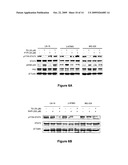 METHODS OF USING PPAR-gamma AGONISTS AND CASPASE-DEPENDENT CHEMOTHERAPEUTIC AGENTS FOR THE TREATMENT OF CANCER diagram and image