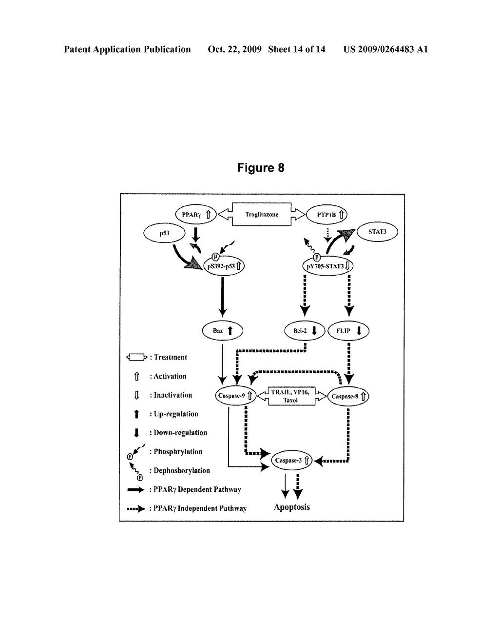 METHODS OF USING PPAR-gamma AGONISTS AND CASPASE-DEPENDENT CHEMOTHERAPEUTIC AGENTS FOR THE TREATMENT OF CANCER - diagram, schematic, and image 15