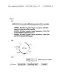 SHORT INTERFERENCE RIBONUCLEIC ACIDS FOR TREATING ALLERGIC DISEASES diagram and image