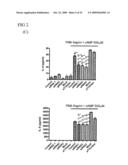 SHORT INTERFERENCE RIBONUCLEIC ACIDS FOR TREATING ALLERGIC DISEASES diagram and image