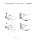 SERINE PALMITOYLCOA TRANSFERASE (SPT) INHIBITION BY MYRIOCIN OR GENETIC DEFICIENCY DECREASES CHOLESTEROL ABSORPTION diagram and image