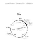 Method for recombinant microorganism expression and isolation of collagen-like polypeptides diagram and image