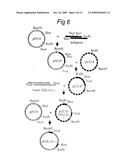 Method for recombinant microorganism expression and isolation of collagen-like polypeptides diagram and image