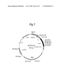 Method for recombinant microorganism expression and isolation of collagen-like polypeptides diagram and image