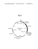 Method for recombinant microorganism expression and isolation of collagen-like polypeptides diagram and image