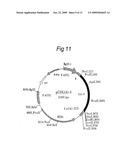 Method for recombinant microorganism expression and isolation of collagen-like polypeptides diagram and image