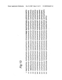 Method for recombinant microorganism expression and isolation of collagen-like polypeptides diagram and image