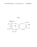 CATALYTIC OXY-FUNCTIONALIZATION OF METAL-CARBON BONDS diagram and image