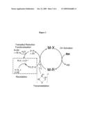 CATALYTIC OXY-FUNCTIONALIZATION OF METAL-CARBON BONDS diagram and image