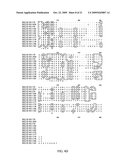 Polynucleotides and polypeptides in plants diagram and image