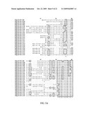 Polynucleotides and polypeptides in plants diagram and image