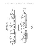 Plant transformation with in vivo assembly of a sequence of interest diagram and image