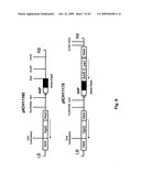 Plant transformation with in vivo assembly of a sequence of interest diagram and image