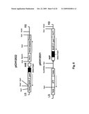 Plant transformation with in vivo assembly of a sequence of interest diagram and image