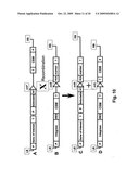 Plant transformation with in vivo assembly of a sequence of interest diagram and image