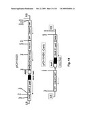 Plant transformation with in vivo assembly of a sequence of interest diagram and image