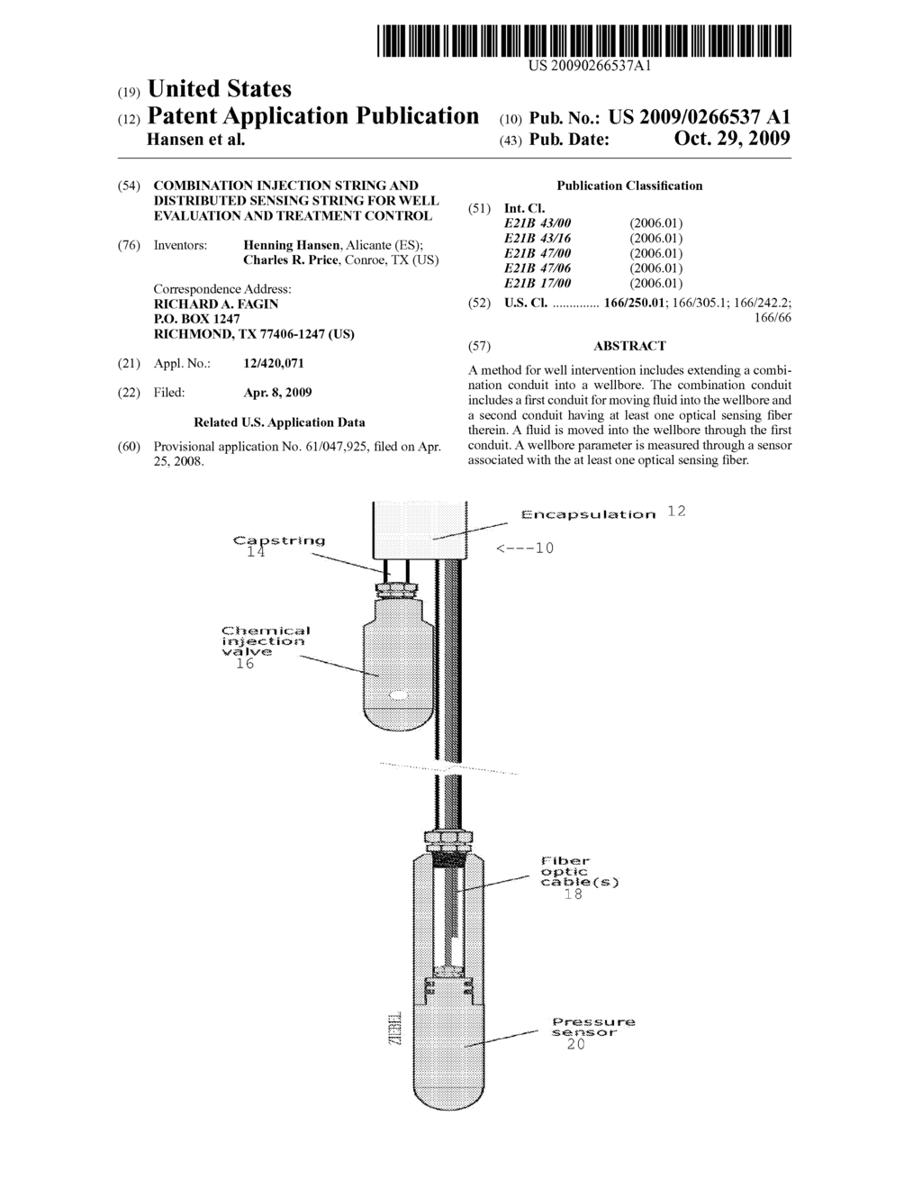 COMBINATION INJECTION STRING AND DISTRIBUTED SENSING STRING FOR WELL EVALUATION AND TREATMENT CONTROL - diagram, schematic, and image 01