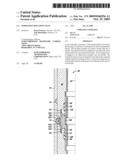 FORMATION ISOLATION VALVE diagram and image